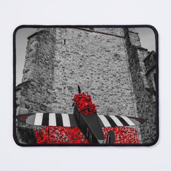 Item preview, colour pop - plane and poppy display designed and sold by Perggals© - Stacey Turner.