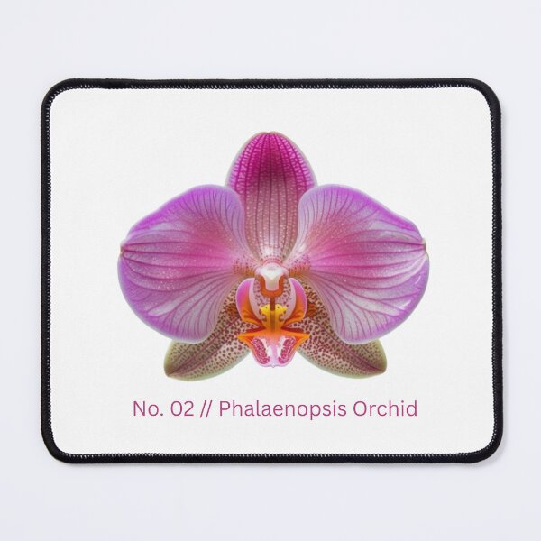 Item preview, Minimalist Botanical Print - No. 02 Phalaenopsis Orchid designed and sold by Ethereal-Rain.