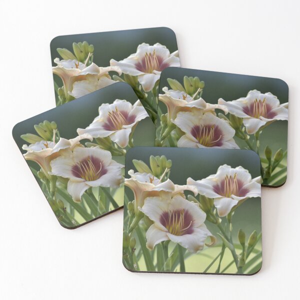 Item preview, Cream Pink Daylily Macro Closeup designed and sold by TathataPhotos.