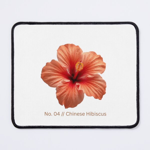 Item preview, Minimalist Botanical Print - No. 04 Chinese Hibiscus designed and sold by Ethereal-Rain.
