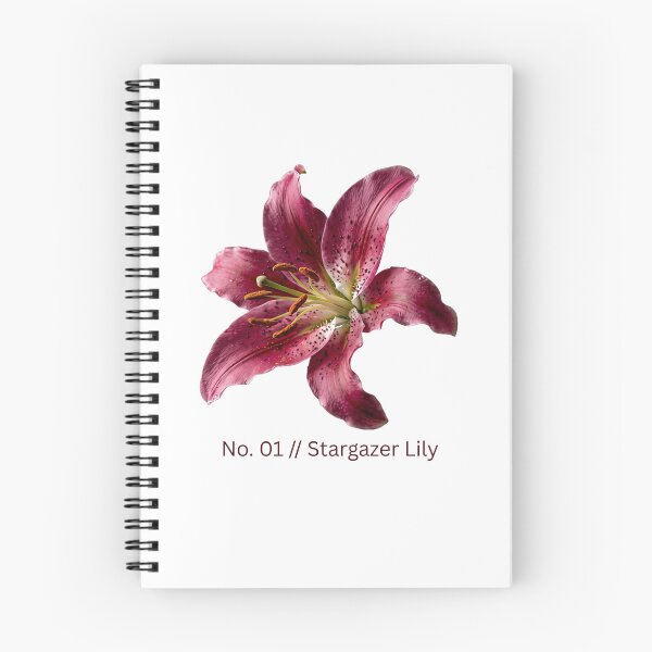 Item preview, Minimalist Botanical Print - No. 01 Stargazer Lily designed and sold by Ethereal-Rain.