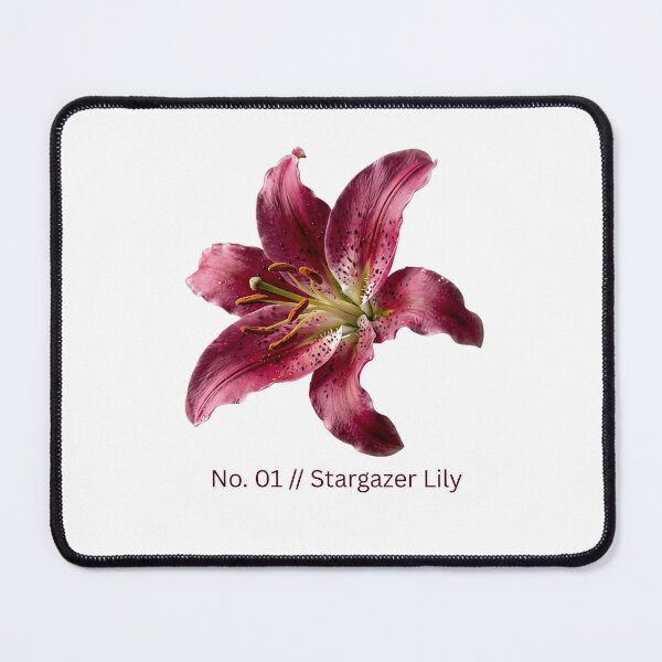 Item preview, Minimalist Botanical Print - No. 01 Stargazer Lily designed and sold by Ethereal-Rain.