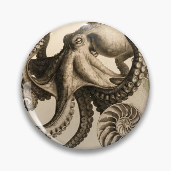 Item preview, T-Shirt - Poster - Natural History Elegance: Octopus & Nautilus designed and sold by ForeverPrintsOK.