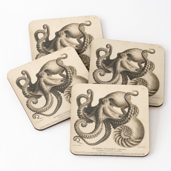 Item preview, T-Shirt - Poster - Natural History Elegance: Octopus & Nautilus designed and sold by ForeverPrintsOK.