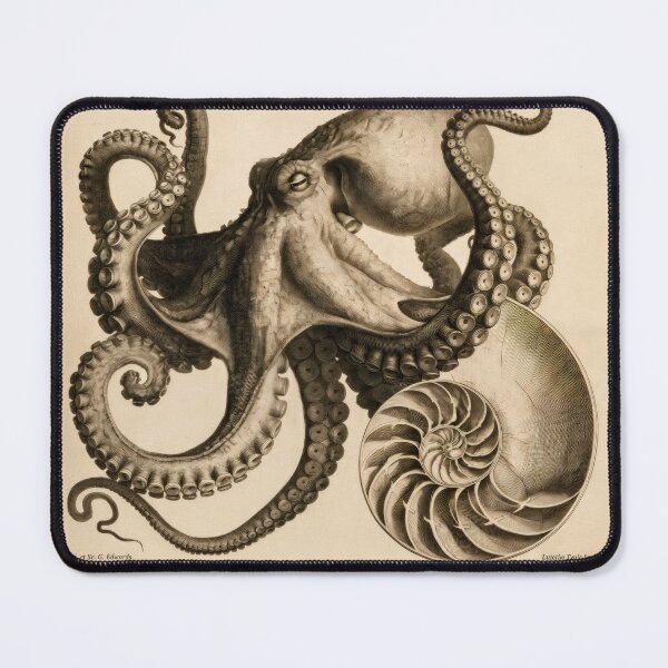 Item preview, T-Shirt - Poster - Natural History Elegance: Octopus & Nautilus designed and sold by ForeverPrintsOK.