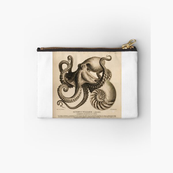 Item preview, T-Shirt - Poster - Natural History Elegance: Octopus & Nautilus designed and sold by ForeverPrintsOK.