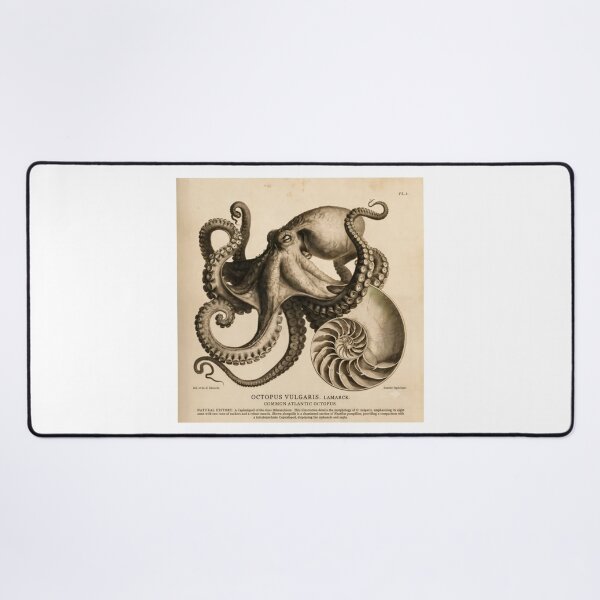 Item preview, T-Shirt - Poster - Natural History Elegance: Octopus & Nautilus designed and sold by ForeverPrintsOK.