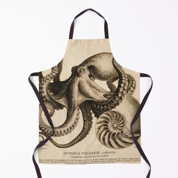 Item preview, T-Shirt - Poster - Natural History Elegance: Octopus & Nautilus designed and sold by ForeverPrintsOK.