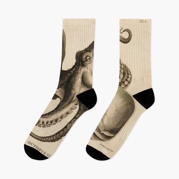 Item preview, T-Shirt - Poster - Natural History Elegance: Octopus & Nautilus designed and sold by ForeverPrintsOK.