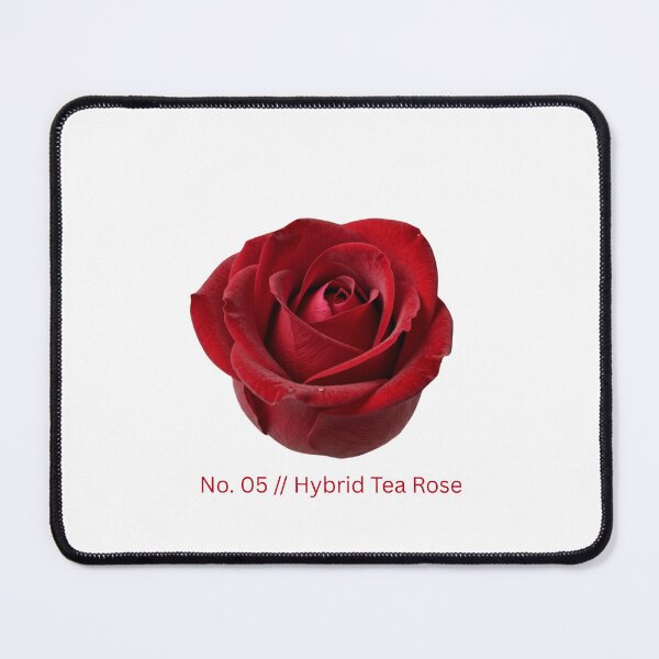 Item preview, Minimalist Botanical Print - No. 05 Hybrid Tea Rose designed and sold by Ethereal-Rain.