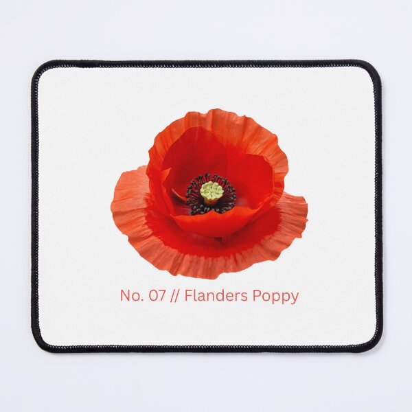 Item preview, Minimalist Botanical Print - No. 07 Flanders Poppy designed and sold by Ethereal-Rain.