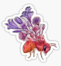 Biene auf Beton, Aquarellmalerei Sticker