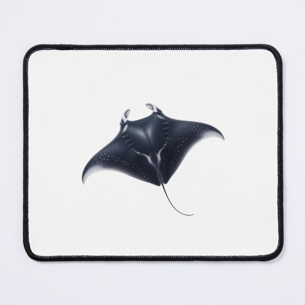 Item preview, a manta ray designed and sold by zzinthestore.