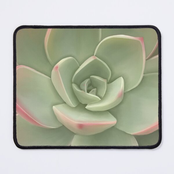 Item preview, Red to pink succulents designed and sold by Kerrie Owens.
