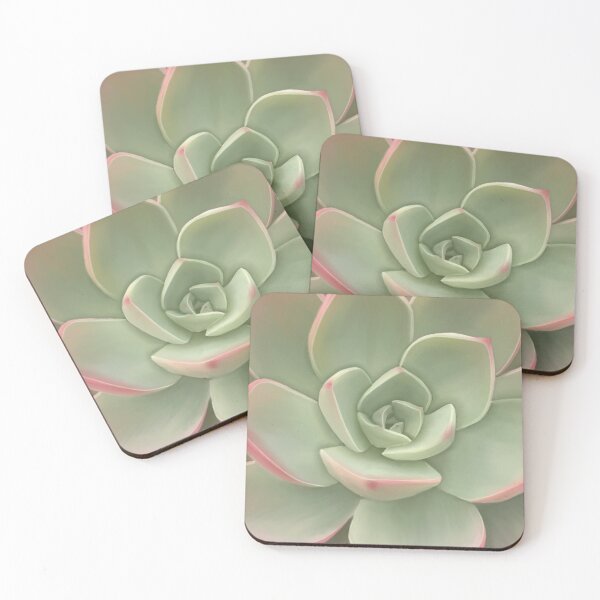 Item preview, Red to pink succulents designed and sold by Kerrie Owens.