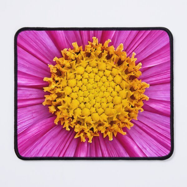 Item preview, Pink Cosmos Flower Botanical Floral Sticker designed and sold by GusiaTreasures.