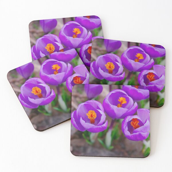 Item preview, Beautiful Group of Purple Crocus Flowers designed and sold by ShotsbyDesiree.