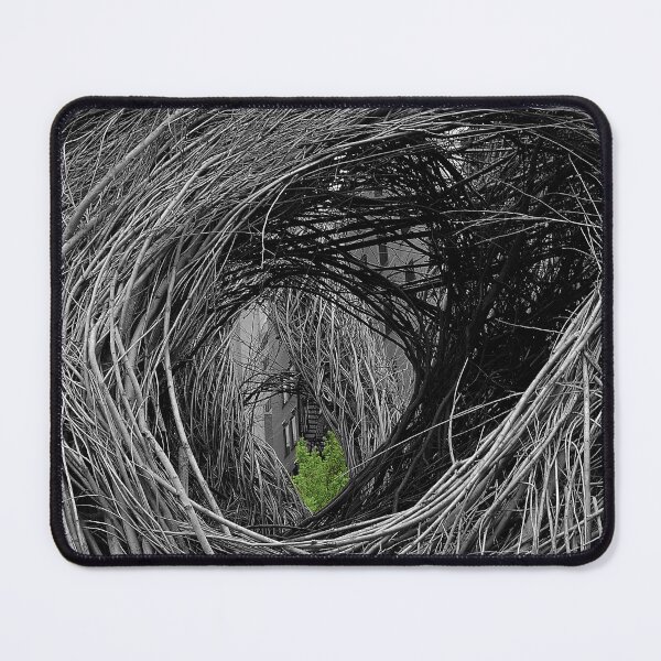 Item preview, Swirl of sticks designed and sold by KK Design Inspired by life.