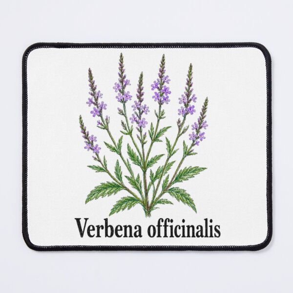 Item preview, Common Verbena – Magical Botanical Illustration designed and sold by JOANNASKAH.