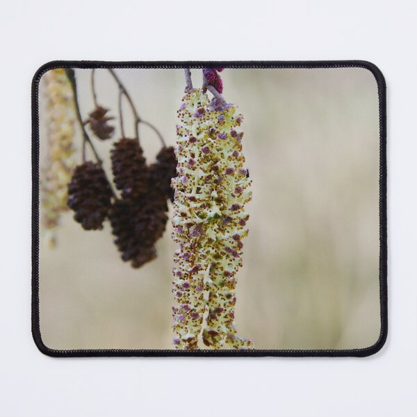 Item preview, Spring Alder Tree Catkins designed and sold by ShotsbyDesiree.