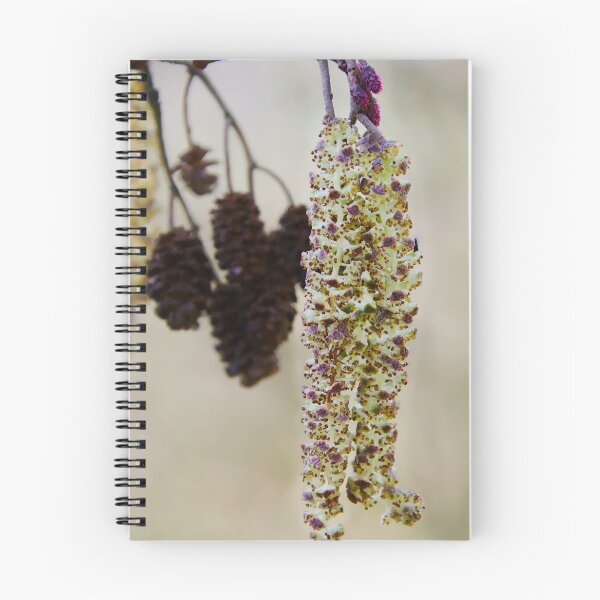 Item preview, Spring Alder Tree Catkins designed and sold by ShotsbyDesiree.