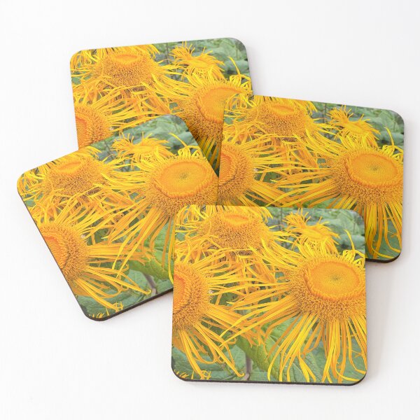 Item preview, Inula Sunflowers in Bright Summer Sunshine designed and sold by Violaman.