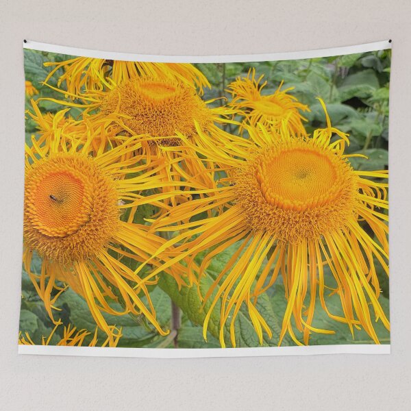 Item preview, Inula Sunflowers in Bright Summer Sunshine designed and sold by Violaman.