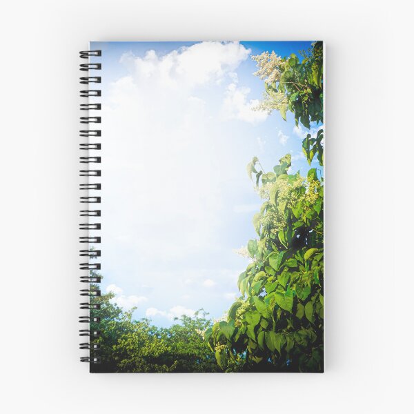 Item preview, Into the Light Void designed and sold by InkOptic Photography.