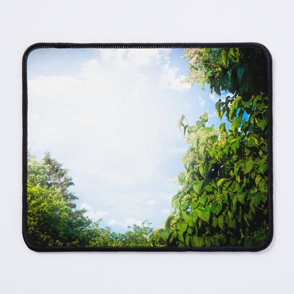 Item preview, Into the Light Void designed and sold by InkOptic Photography.