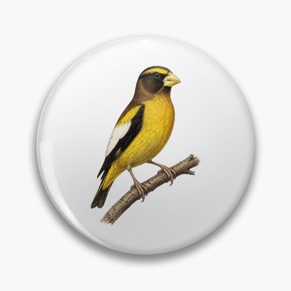 Item preview, Evening Grosbeak Forest Bird designed and sold by KrungiT Design .
