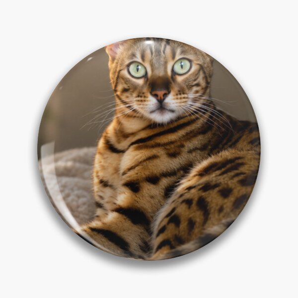 Item preview, Bengal cat with green eyes designed and sold by Kimberly Palmer.