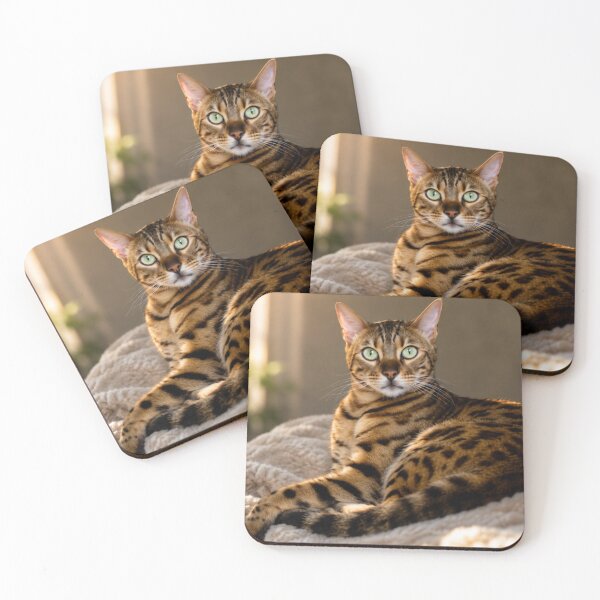 Item preview, Bengal cat with green eyes designed and sold by Kimberly Palmer.