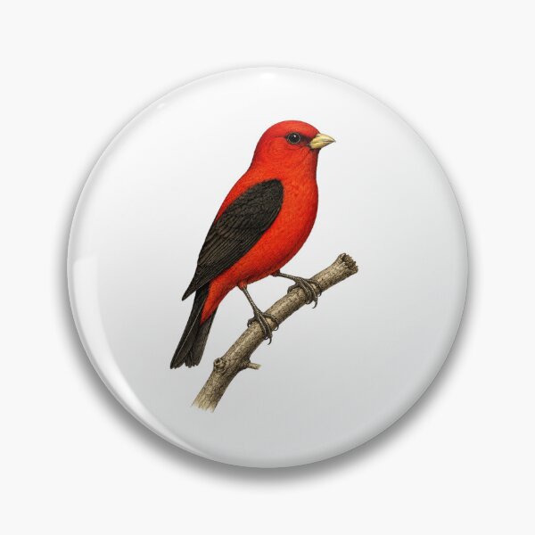 Item preview, Scarlet Tanager Vintage Plate designed and sold by KrungiT Design .