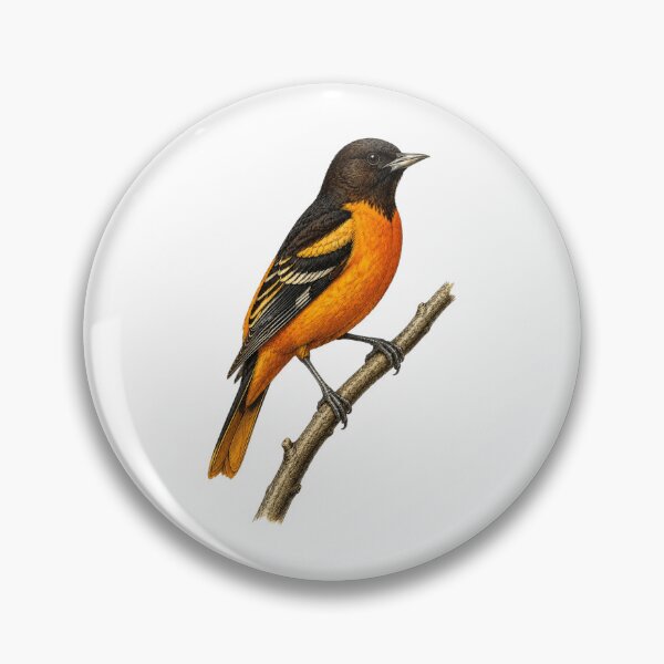 Item preview, Baltimore Oriole Vintage Illustration designed and sold by KrungiT Design .