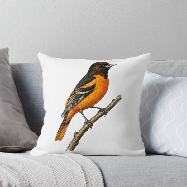 Item preview, Baltimore Oriole Vintage Illustration designed and sold by KrungiT Design .