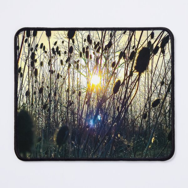 Item preview, Guardians of the Light designed and sold by InkOptic Photography.