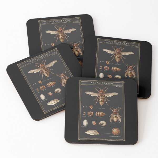 Item preview, Hornet Plate designed and sold by darudcraft.