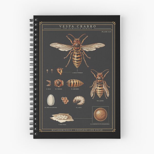Item preview, Hornet Plate designed and sold by darudcraft.