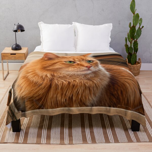 Item preview, Boxed in Comfort designed and sold by Kimberly Palmer.
