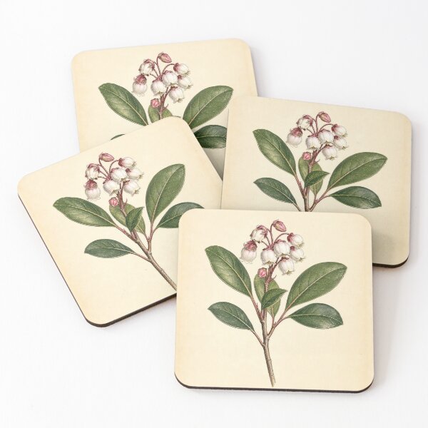 Item preview, Vintage Wintergreen Botanical Illustration designed and sold by NuvoraNest.