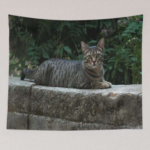 Item preview, Is this for Time cover shot? designed and sold by Nerone.