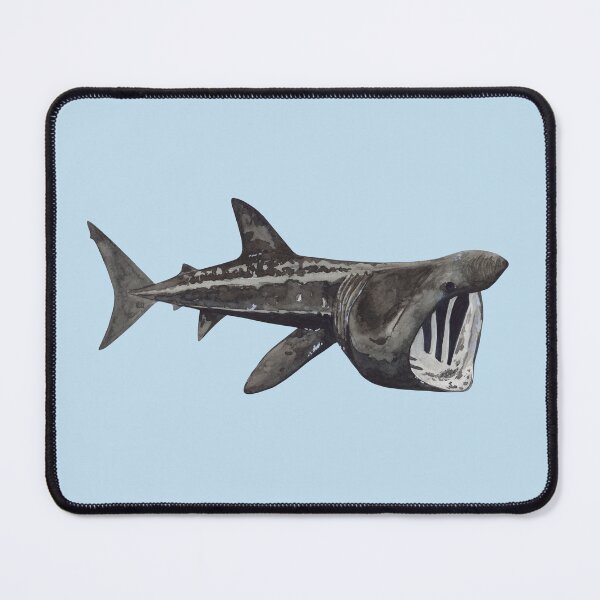 Item preview, BASKING SHARK-Cetorhinus maximus designed and sold by BEATRIZ ABAITUA.
