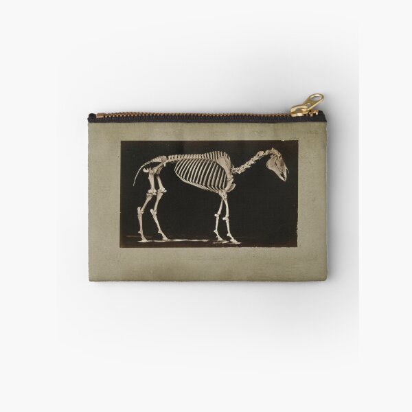 Item preview, Skeleton of Horse 1881 a photograph by Eadweard Muybridge  designed and sold by Amanda1775.