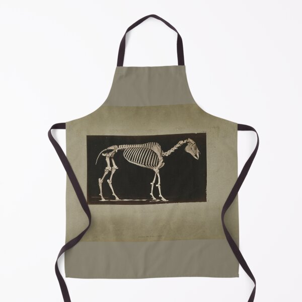 Item preview, Skeleton of Horse 1881 a photograph by Eadweard Muybridge designed and sold by Amanda1775.