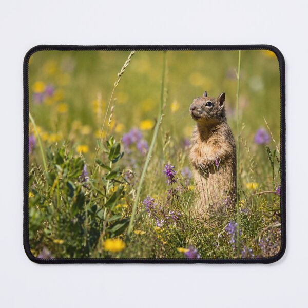 Item preview, Standing Tall in the Wildflowers designed and sold by Kimberly Palmer.