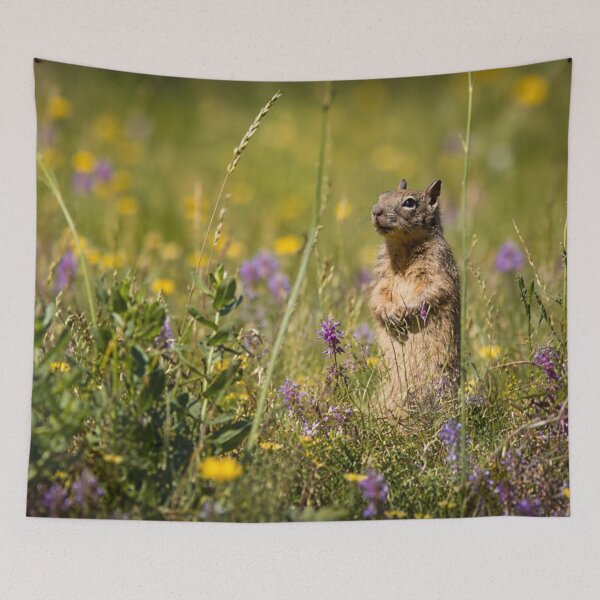 Item preview, Standing Tall in the Wildflowers designed and sold by Kimberly Palmer.