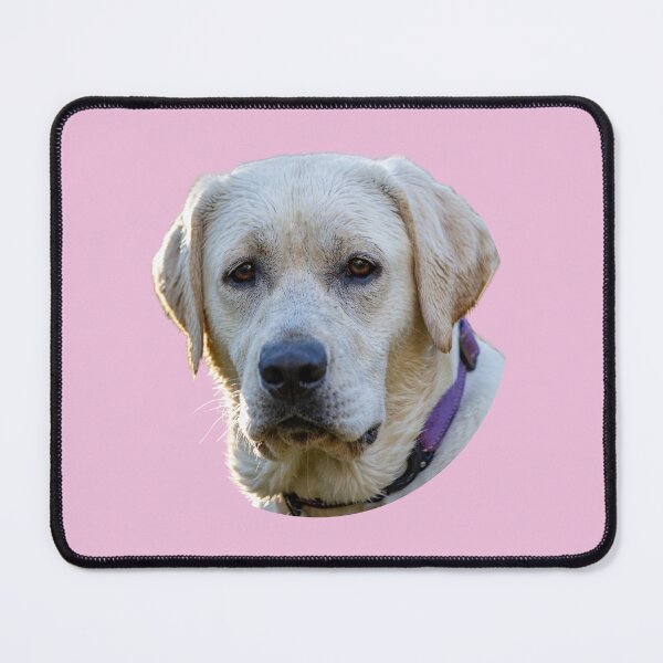 Item preview, White Labrador designed and sold by sharmander12.