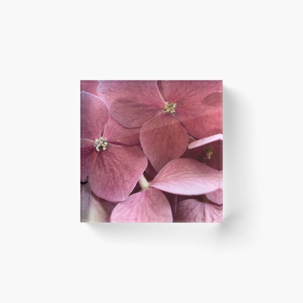 Item preview, Hortensias 2 designed and sold by mariaalexart22.