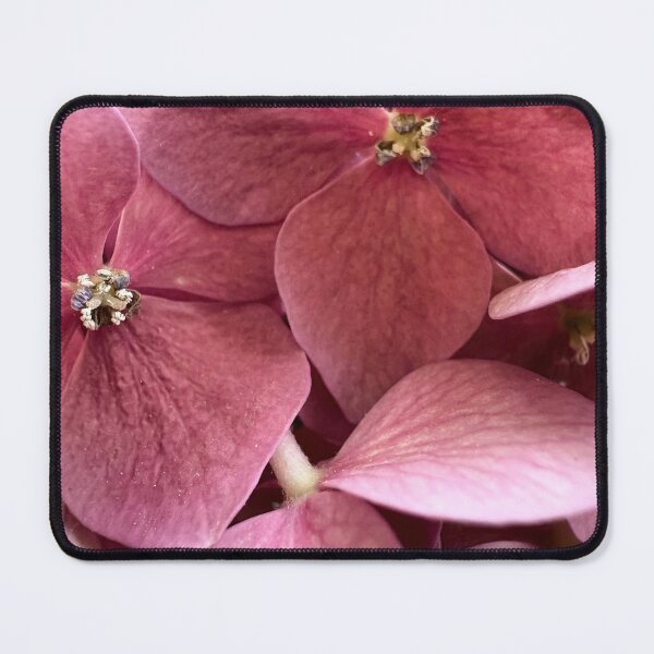 Item preview, Hortensias 2 designed and sold by mariaalexart22.