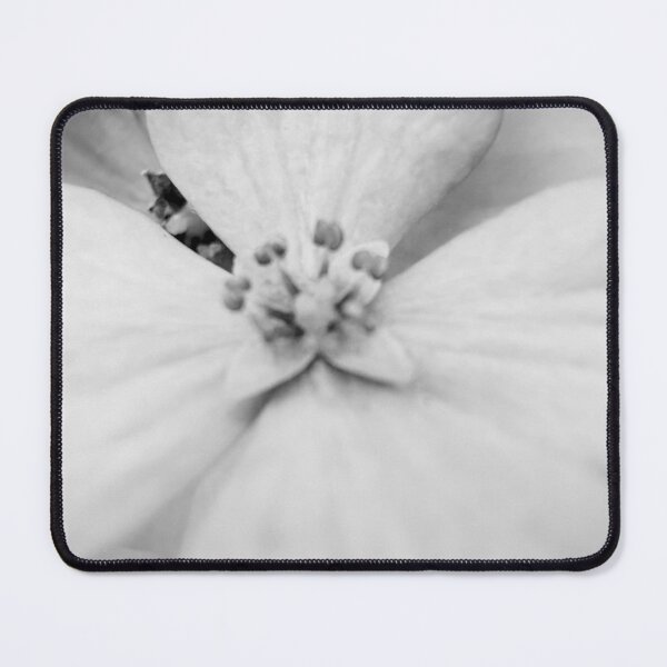 Item preview, Close Hortensia  designed and sold by mariaalexart22.